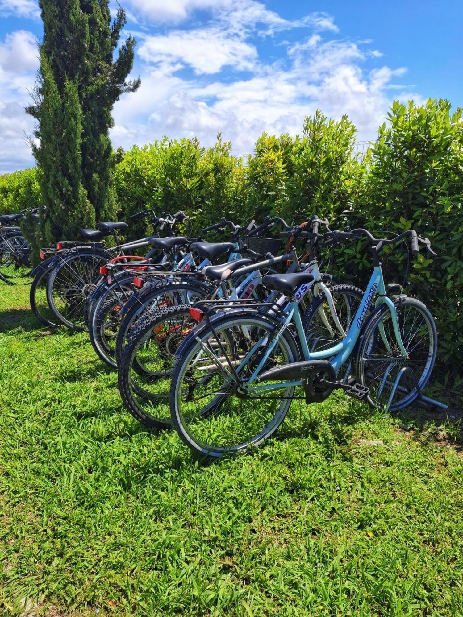 Delfino Tuscany Resort Marina di Cecina Extérieur photo